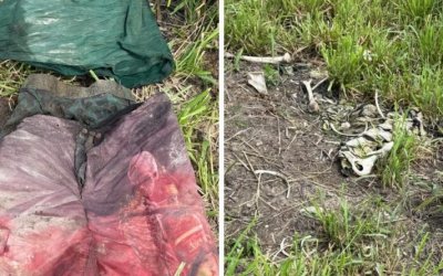 Ossada humana é encontrada em fazenda na zona rural de Colinas do Tocantins