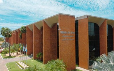 TJ declara inconstitucional trecho de lei tocantinense que diferencia prazo da licença-maternidade com base na idade da criança adotada