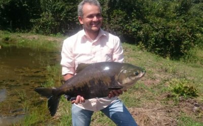 Tambaqui é o peixe mais produzido e consumido no Tocantins