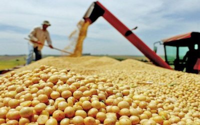 Tocantins fecha 2024 com avanços no agronegócio e agricultura familiar