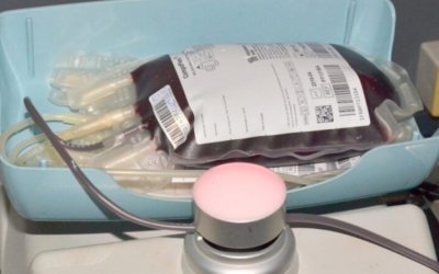 SES-TO divulga programação em homenagem ao dia nacional do doador de sangue