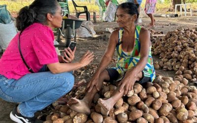Aleto abre  ?Somos Raimundas?, exposição fotográfica que retrata as quebradeiras de coco