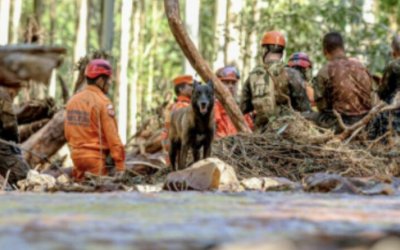 Bombeiros do Tocantins seguem trabalho de busca por desaparecidos no Rio Grande do Sul