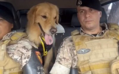 PM faz homenageam a cão policial que se aposentou; confira o vídeo