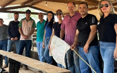 Pauta: Adapec promove treinamento sobre bem-estar animal