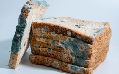 Procon divulga balanço de operação que apreendeu mais de 14 mil produtos vencidos