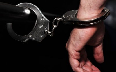 Idoso flagrado praticando abuso sexual contra animal é preso pela Polícia Civil