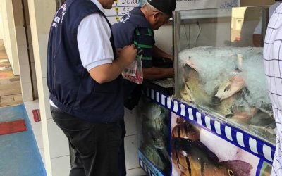 Período quaresmal: Agência de Metrologia orienta consumidores sobre as compras de pescado