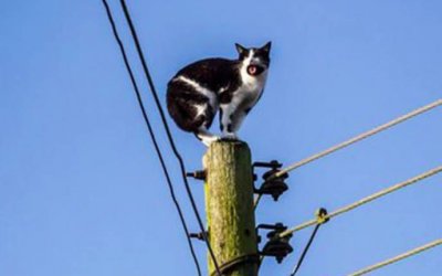 Energia furtada no TO em 2023 seria suficiente para abastecer a cidade de Colinas por um ano