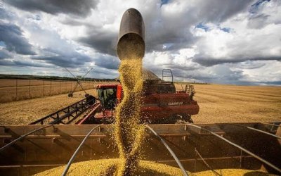 StoneX reduz previsão novamente e descarta safra recorde de soja no Brasil; Tocantins está entre estados com queda