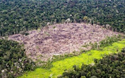 Tocantins está entre estados que receberão  R$ 450 milhões do Fundo Amazônia para projetos de reflorestamento