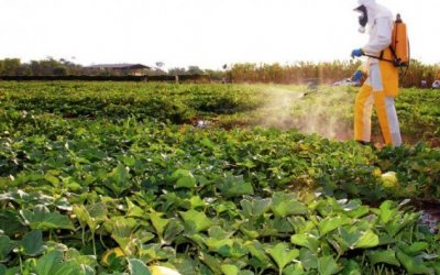 Saúde alerta a população sobre os impactos dos agrotóxicos na saúde dos trabalhadores tocantinenses