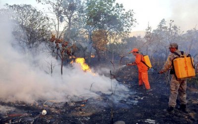 Tocantins está entre estados que não protocolaram projeto no Fundo Amazônia, que tem R$ 405 mi para combate a incêndios