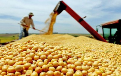 Governo do Tocantins fomenta agronegócio e Estado se torna o maior produtor de grãos da região Norte