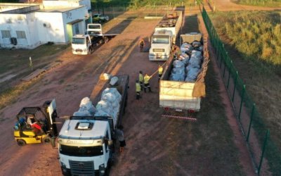 Materiais fósseis são repatriados ao Tocantins e enviados para Bielândia