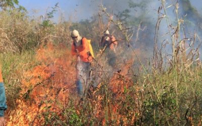 IBAMA abre mais de 150 vagas para brigadistas em comunidades indígenas e quilombolas