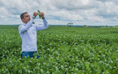 Adapec registra crescimento de 19,5% na safra 2022/2023 em áreas de plantio de soja