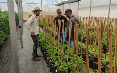 Tocantins recebe autorização para manutenção de cultivo excepcional de soja