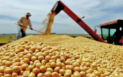 Tocantins registra até 70% de área colhida da produção de soja da safra 2022/2023