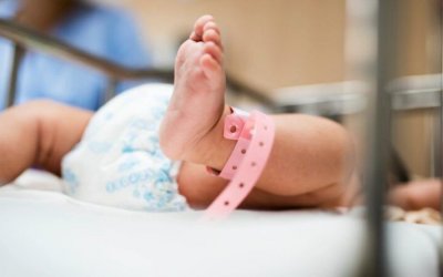 Estado deverá fornecer informações sobre processo de transição de empresa que prestará serviços de UTI neonatal