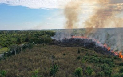 Naturatins suspende autorização para queima controlada no Estado