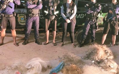 Aumenta número de apreensões de materiais de pesca predatória em praia do Garimpinho