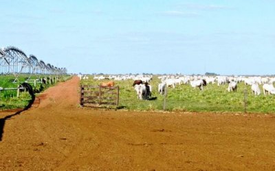 Governo do Tocantins cria Delegacia Regional do Ruraltins em Colinas