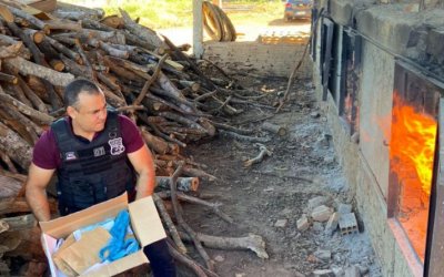 Polícia Civil incinera drogas apreendidas