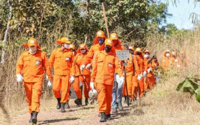 Corpo de Bombeiros abre inscrições para brigadistas florestais