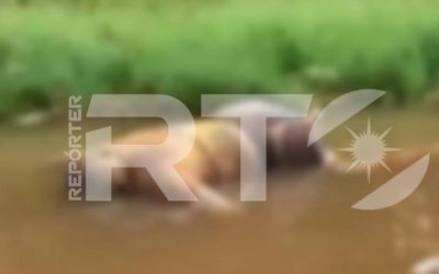 Homem ainda não foi identificado