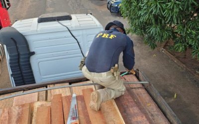 PRF apreende quase 140 m³ de madeira irregular em duas ocorrências no mesmo dia no Tocantins