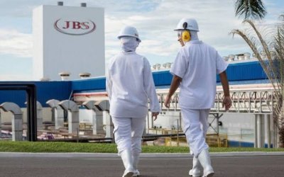 Prefeitura de Araguaína autua JBS por poluição que causou morte de peixes em córrego