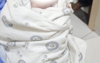 VÍDEO; Bebê é abandonado na garagem da Prefeitura de Filadélfia