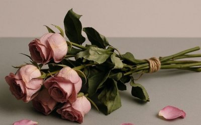 Floricultura de Araguaína terá que indenizar cliente por não entregar buquê no dia dos namorados