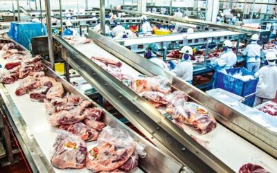 Minerva pagará R$ 22 milhões por propina a fiscais em frigorífico de Araguaína