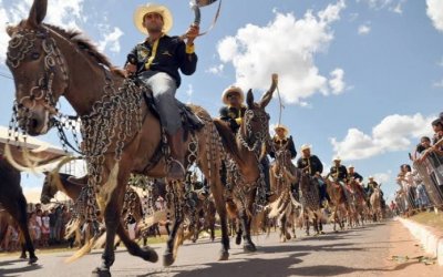 MP recomenda medidas para proteger animais durante Cavalgada de Araguaína; Município tem 10 dias para apresentar ações