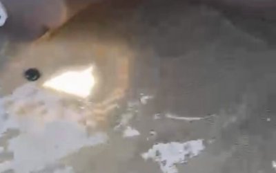 Deputados enfrentam perrengue em barco que encheu d?água, no Lago de Palmas,  rumo à Agrotins