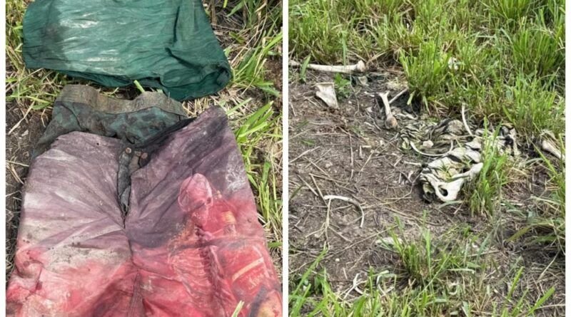Ossada humana é encontrada em fazenda na zona rural de Colinas do Tocantins