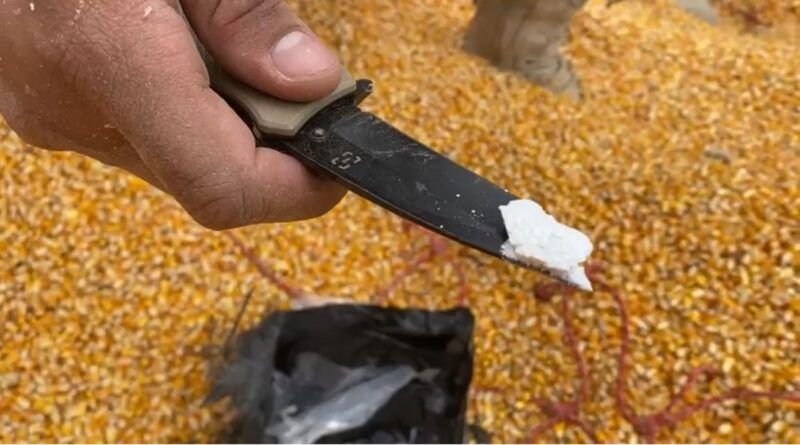 PRF apreende cerca de meia tonelada de pasta base de cocaÃna escondida em carreta em AraguaÃna