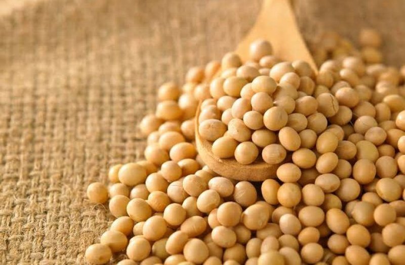 Funcionário de fazenda é suspeito de desviar 65 toneladas de soja e vender por R$ 100 mil