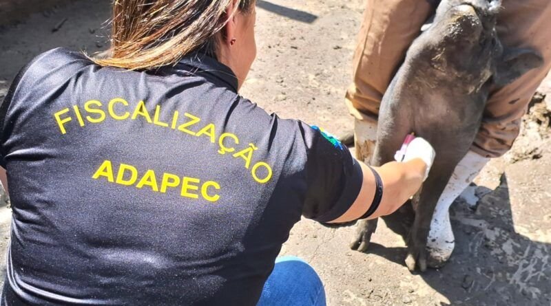 Governo do Tocantins realiza monitoramento sorológico de Peste Suína Clássica em 55 municípios do Estado