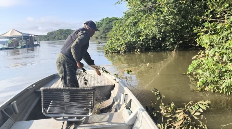 Naturatins conclui ações fiscalizatórias nas regiões norte e sul do Tocantins