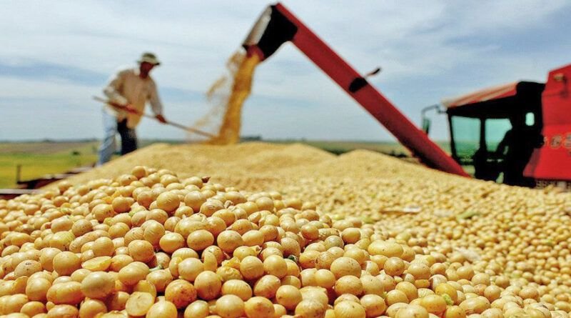 Tocantins fecha 2024 com avanços no agronegócio e agricultura familiar