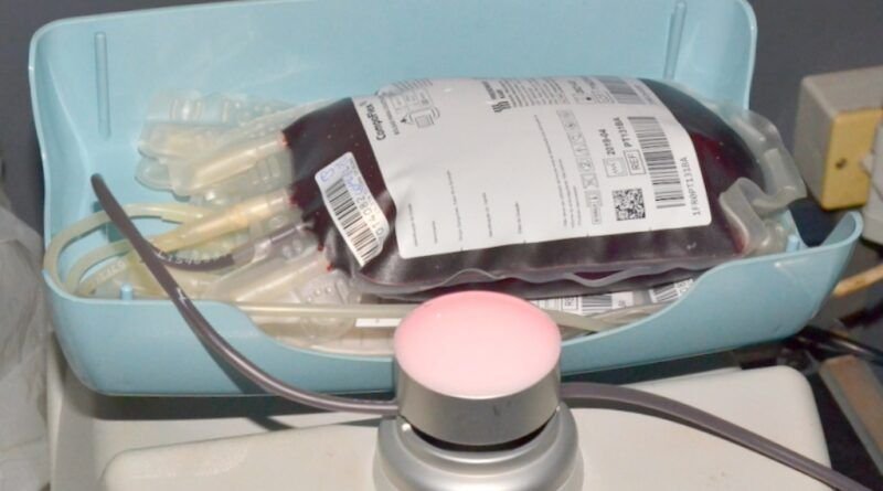 SES-TO divulga programação em homenagem ao dia nacional do doador de sangue