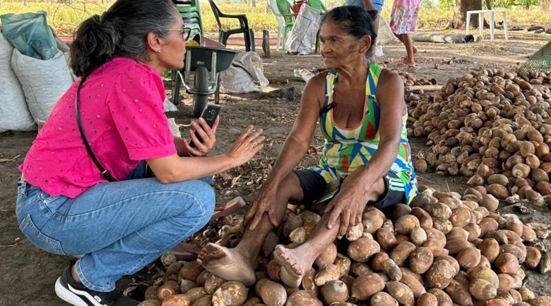 Aleto abre  ?Somos Raimundas?, exposição fotográfica que retrata as quebradeiras de coco