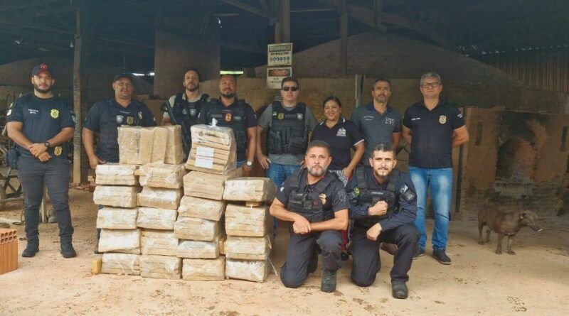Polícia Civil incinera cerca de 400 kg de maconha e gera prejuízo de R$ 1 milhão ao crime organizado