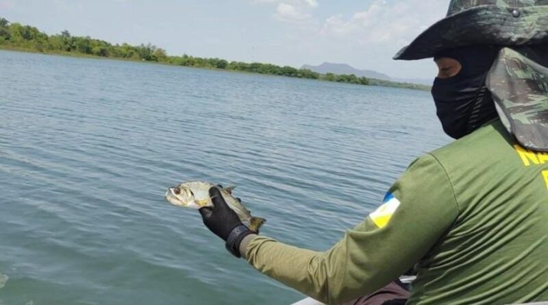 Operação Malha Fina do Naturatins apreende 2 mil metros de redes de pesca