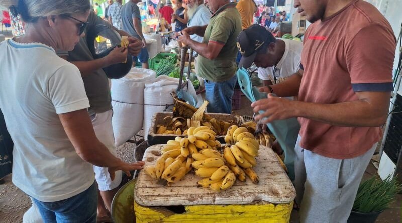 Governo do Tocantins promove 13ª edição da Feira da Colheita em Araguatins com atendimentos sobre aposentadoria rural, salário-maternidade e palestras técnicas
