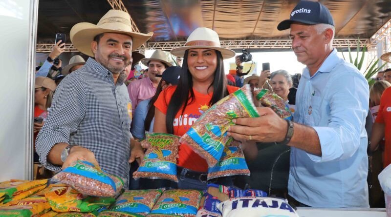 Governo do Tocantins desenvolve ações para a garantia de direitos sociais fundamentais aos tocantinenses