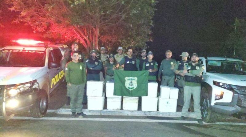 Operação do Naturatins apreende cerca de 200 kg de pescado e aplica mais de R$ 15 mil em multas